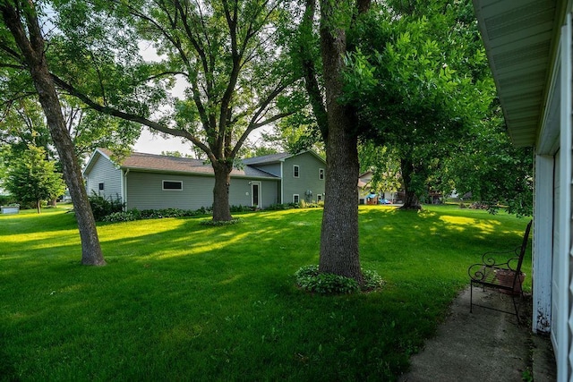 505 1st Ave, Raymond, MN 56282 - view of green lawn