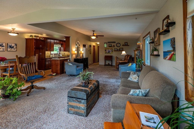 505 1st Ave, Raymond, MN 56282 - living room with carpet, lofted ceiling, and a ceiling fan
