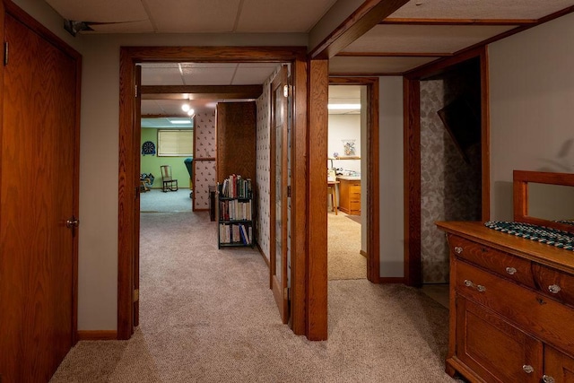 505 1st Ave, Raymond, MN 56282 - corridor with light carpet