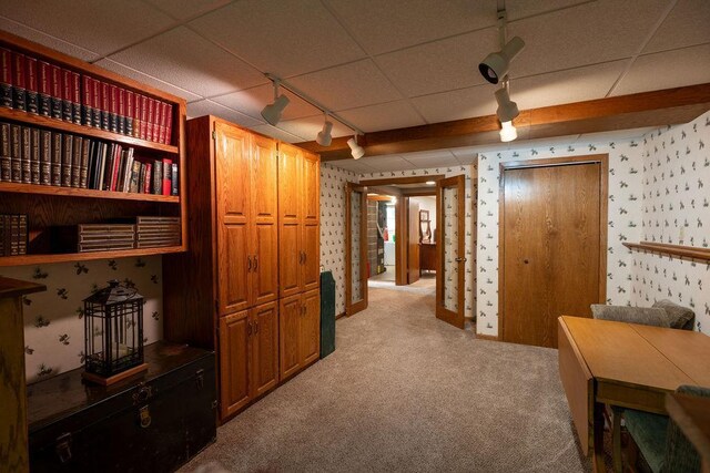 505 1st Ave, Raymond, MN 56282 - hall featuring light colored carpet, wallpapered walls, track lighting, and a paneled ceiling