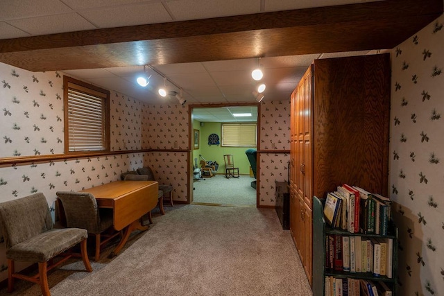 505 1st Ave, Raymond, MN 56282 - living area with wallpapered walls, light colored carpet, and a paneled ceiling