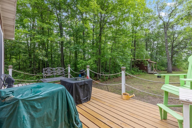 22325 519th Ln, Workman Twp, MN 55760 - wooden terrace with area for grilling