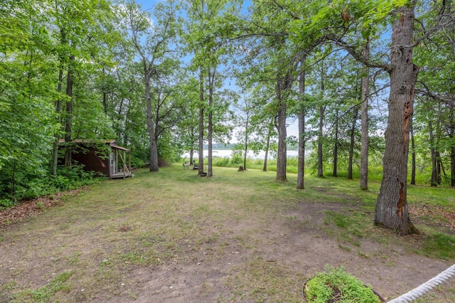 22325 519th Ln, Workman Twp, MN 55760 - view of yard featuring a water view