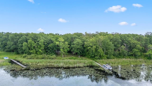 22325 519th Ln, Workman Twp, MN 55760 - water view featuring a forest