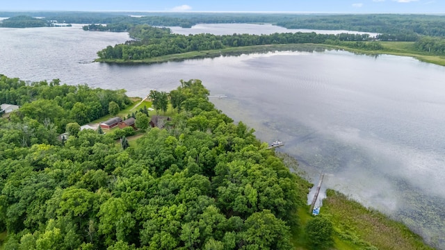 22325 519th Ln, Workman Twp, MN 55760 - drone / aerial view of a large body of water and a heavily wooded area