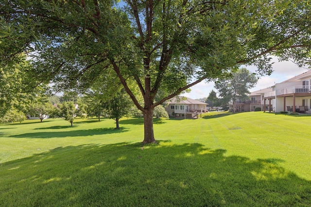 13107 Falcons Way, Savage, MN 55378 - view of green lawn