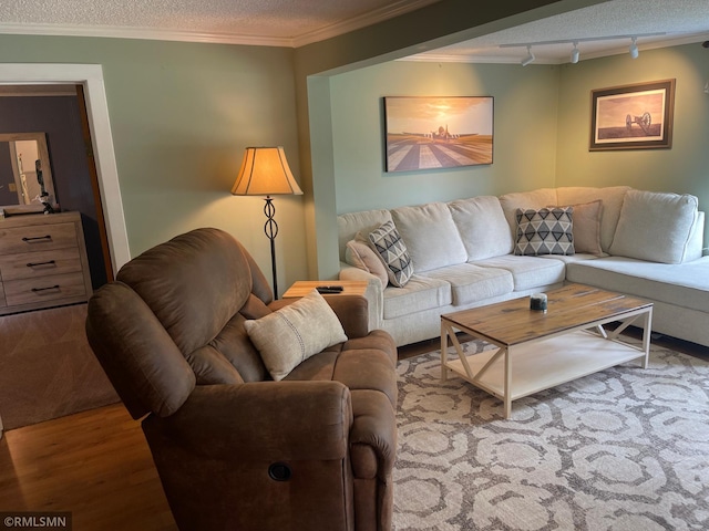 21507 County Road 560, Goodland Twp, MN 55742 - living area featuring rail lighting, crown molding, a textured ceiling, and wood finished floors