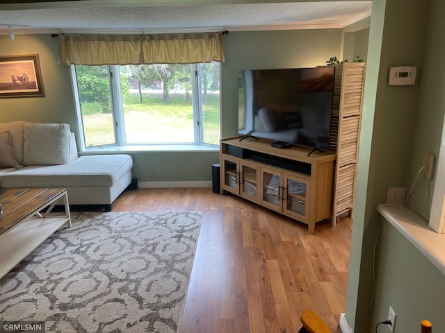 21507 County Road 560, Goodland Twp, MN 55742 - living area with crown molding and light wood-style flooring