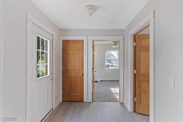 824 9th St N, Fargo, ND 58102 - entryway with light wood-type flooring and healthy amount of natural light