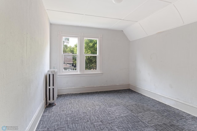824 9th St N, Fargo, ND 58102 - bonus room featuring radiator heating unit, carpet, and lofted ceiling
