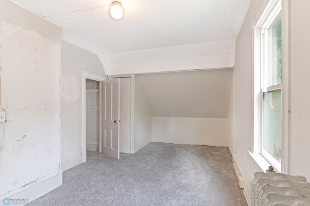 824 9th St N, Fargo, ND 58102 - bonus room featuring carpet and vaulted ceiling