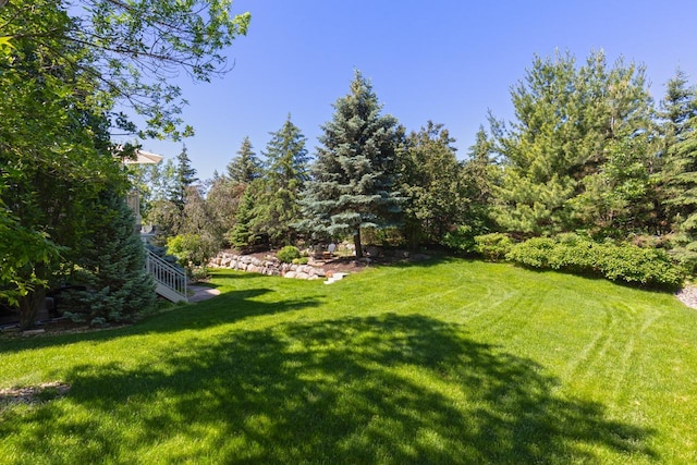 10701 Sonoma Rdg, Eden Prairie, MN 55347 - view of green lawn with stairway