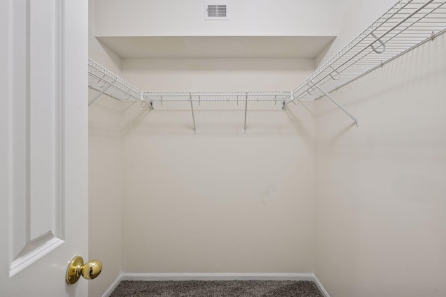 7601 Garfield Ave Unit 103, Richfield, MN 55423 - walk in closet featuring carpet floors