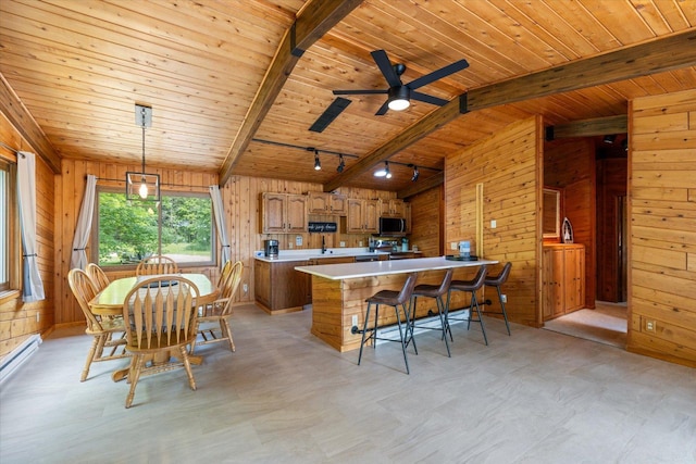 36388 Wabana Rd, Wabana Twp, MN 55744 - kitchen with wood ceiling, wooden walls, stainless steel appliances, light countertops, and rail lighting