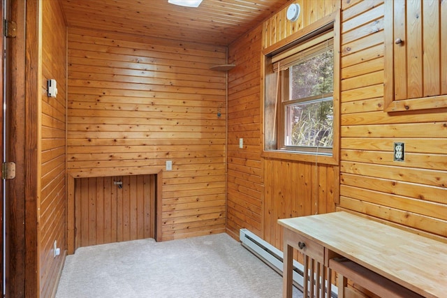 36388 Wabana Rd, Wabana Twp, MN 55744 - unfurnished room with carpet floors, wooden walls, wood ceiling, and baseboard heating