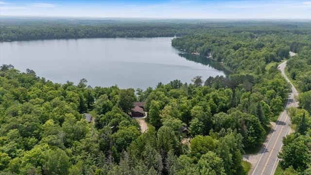36388 Wabana Rd, Wabana Twp, MN 55744 - drone / aerial view of a heavily wooded area and a large body of water