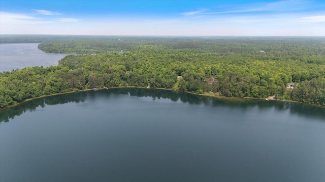 36388 Wabana Rd, Wabana Twp, MN 55744 - aerial view of a forest and a nearby body of water