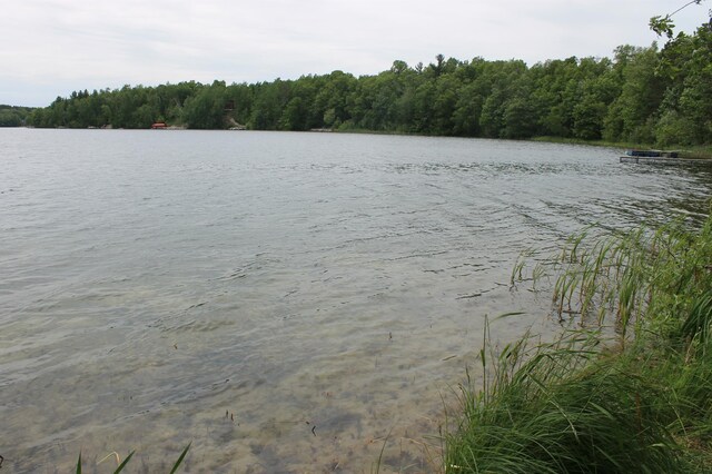 36388 Wabana Rd, Wabana Twp, MN 55744 - water view featuring a forest