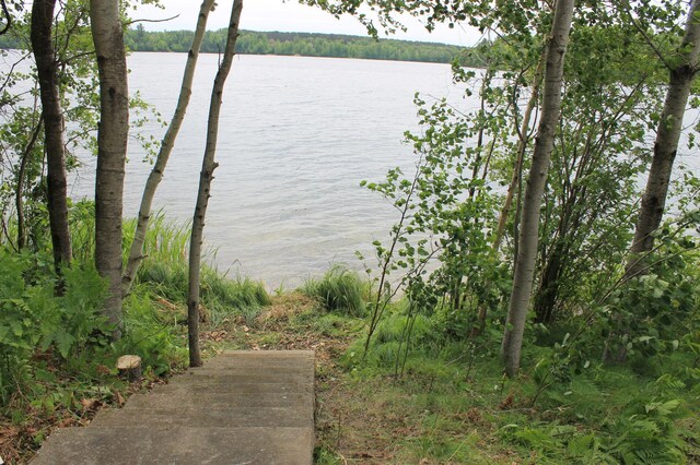 36388 Wabana Rd, Wabana Twp, MN 55744 - water view with a forest