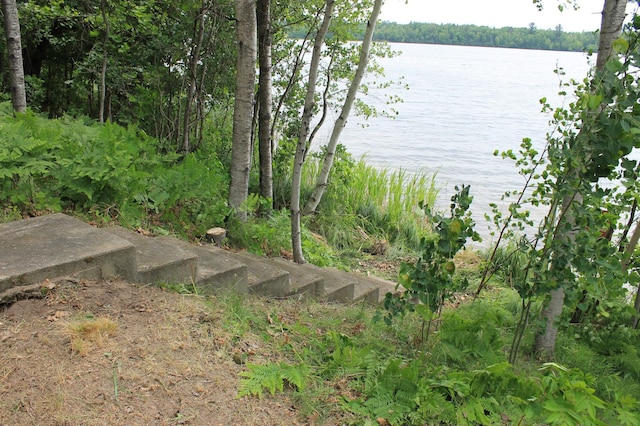 36388 Wabana Rd, Wabana Twp, MN 55744 - water view