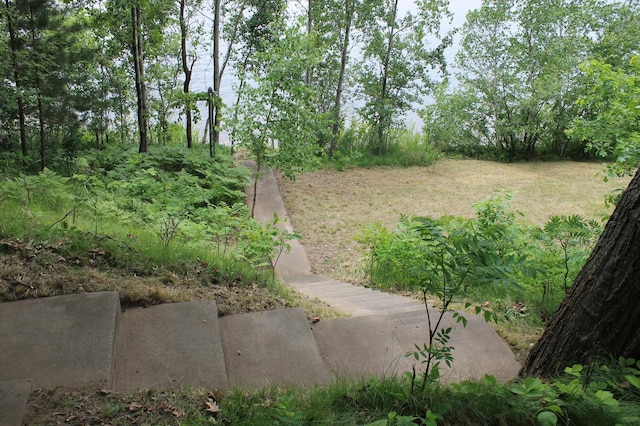 36388 Wabana Rd, Wabana Twp, MN 55744 - view of yard