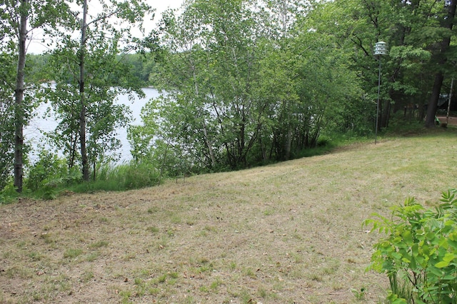 36388 Wabana Rd, Wabana Twp, MN 55744 - view of nature