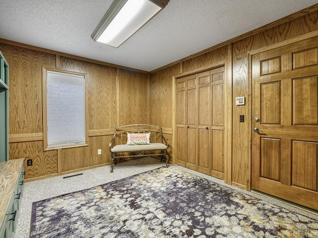 4125 Bridgewater Cir, Vadnais Heights, MN 55127 - living area with carpet flooring, wooden walls, and a textured ceiling