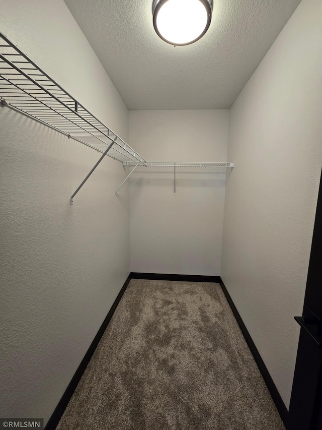 2001 Essler Dr, Saint Peter, MN 56082 - spacious closet featuring carpet flooring