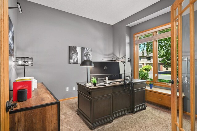 3583 Woodland Trl, Eagan, MN 55123 - office with light carpet and baseboards