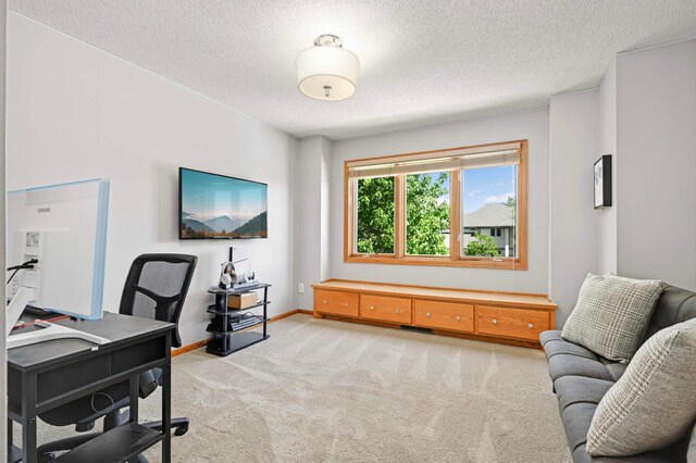 3583 Woodland Trl, Eagan, MN 55123 - office with light carpet and a textured ceiling