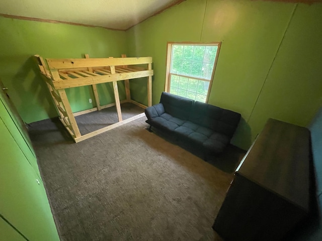 17650 Mosquito Creek Rd, Minerva Twp, MN 56621