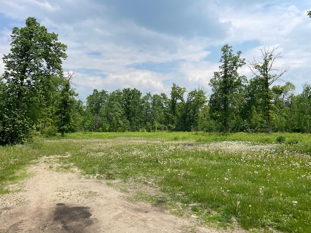 17650 Mosquito Creek Rd, Minerva Twp, MN 56621