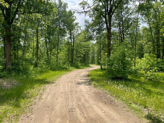 17650 Mosquito Creek Rd, Minerva Twp, MN 56621