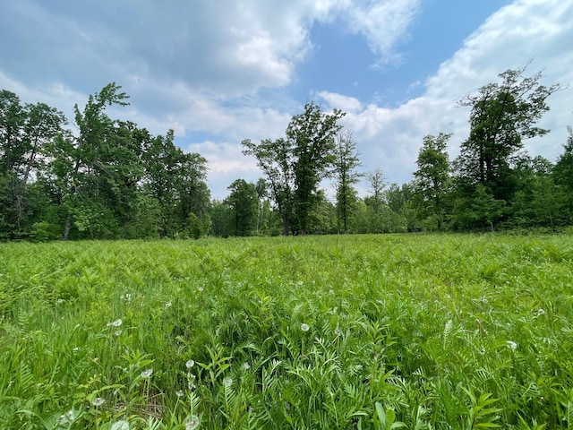17650 Mosquito Creek Rd, Minerva Twp, MN 56621