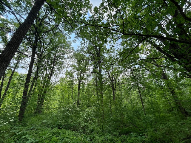 17650 Mosquito Creek Rd, Minerva Twp, MN 56621
