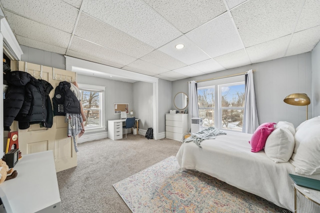 216 Elm St, River Falls, WI 54022 - bedroom with a paneled ceiling and carpet floors