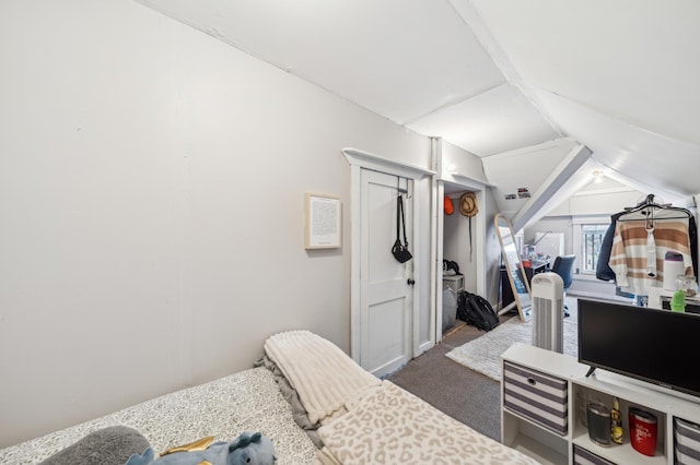 216 Elm St, River Falls, WI 54022 - carpeted bedroom with vaulted ceiling