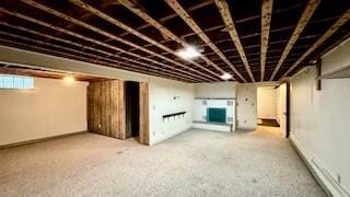 811 Myrtle St, Buffalo, MN 55313 - view of below grade area