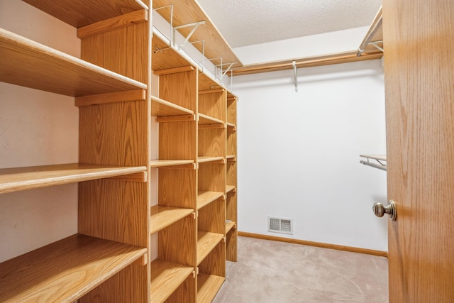 2017 87th Trl N, Brooklyn Park, MN 55443 - spacious closet with carpet flooring