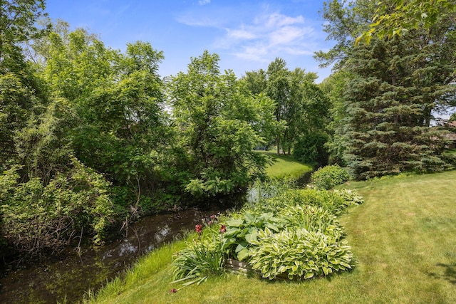 2017 87th Trl N, Brooklyn Park, MN 55443 - view of grassy yard