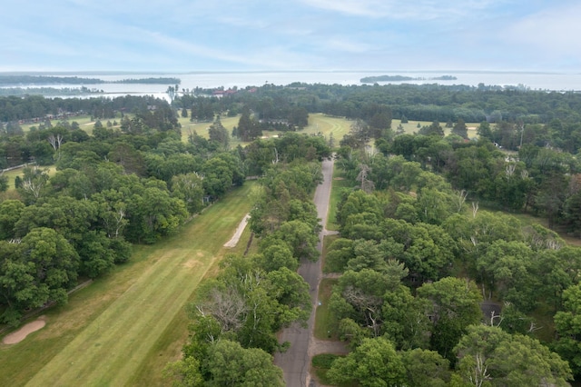 8619 Dove St, Breezy Point, MN 56472 - aerial overview of property's location featuring a nearby body of water