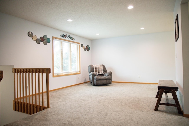 415 3rd St NW, Elgin, MN 55932 - living area with carpet and recessed lighting