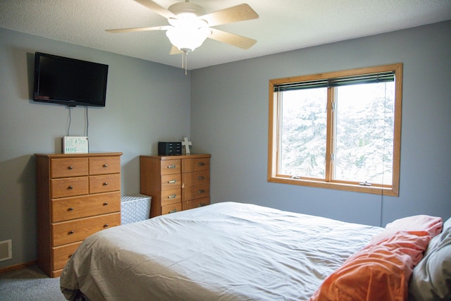 415 3rd St NW, Elgin, MN 55932 - bedroom featuring carpet and ceiling fan