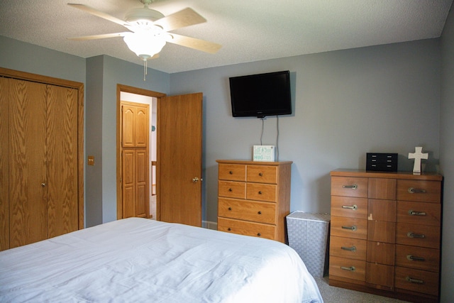 415 3rd St NW, Elgin, MN 55932 - bedroom with a closet and ceiling fan