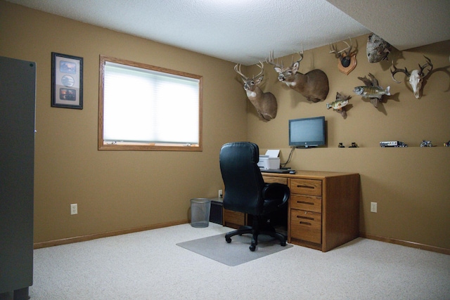 415 3rd St NW, Elgin, MN 55932 - office area featuring carpet flooring and a textured ceiling