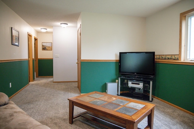 415 3rd St NW, Elgin, MN 55932 - living area featuring carpet