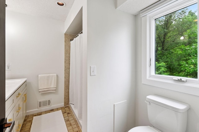 6641 Halstead Ave, Mound, MN 55364 - bathroom featuring vanity, a shower with curtain, and a textured ceiling