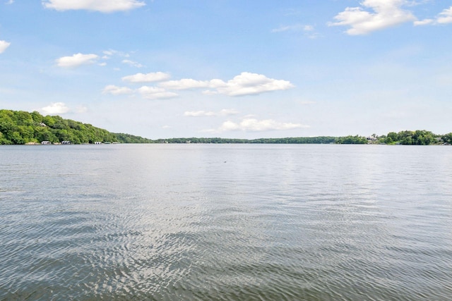 6641 Halstead Ave, Mound, MN 55364 - water view
