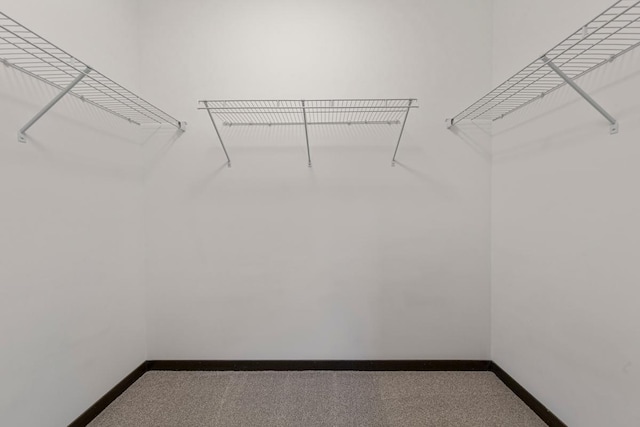 755 Escalade Ln SE, Owatonna, MN 55060 - walk in closet with carpet flooring