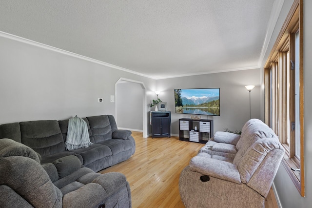 17208 Woodbine St NW, Andover, MN 55304 - living room with arched walkways, ornamental molding, light wood finished floors, and a textured ceiling